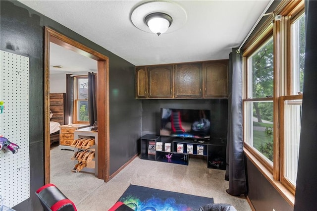 7423 NW Locust Dr, Parkville, MO 64152 - photo 28