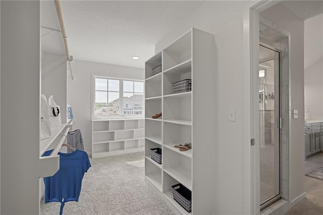 11487 S Cornice St, Olathe, KS 66061 - spacious closet with carpet