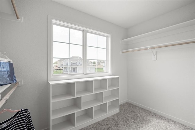 11487 S Cornice St, Olathe, KS 66061 - spacious closet with carpet