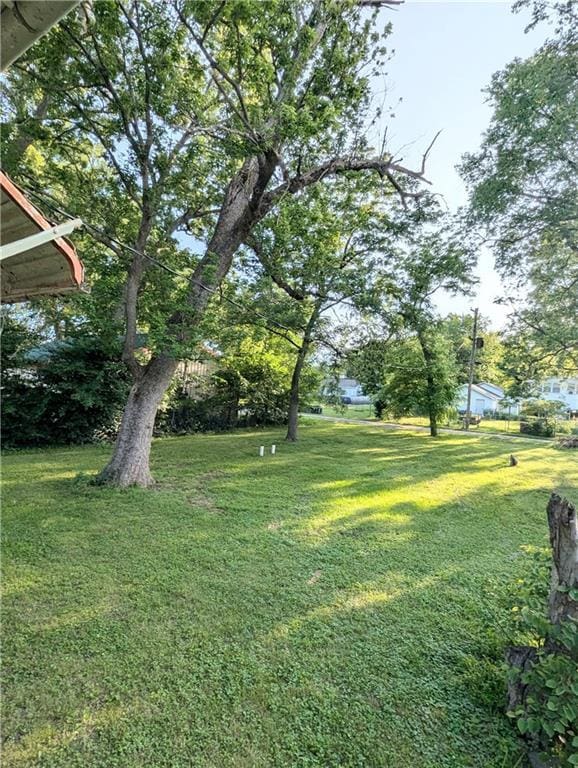 429 N 12th St, Fredonia, KS 66736 - view of green lawn