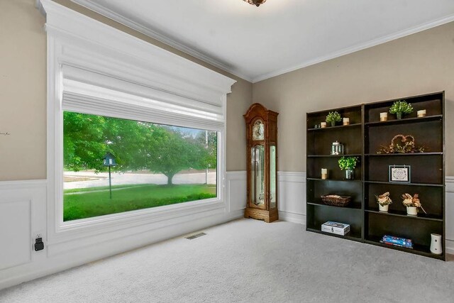 600 N Oak St, Gardner, KS 66030 - unfurnished room featuring crown molding, carpet, wainscoting, and a decorative wall