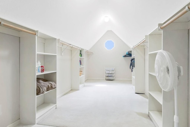 600 N Oak St, Gardner, KS 66030 - spacious closet with carpet flooring and vaulted ceiling