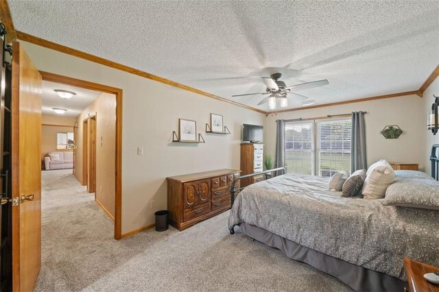 20408 S Cottonwood Dr, Belton, MO 64012 - photo 26