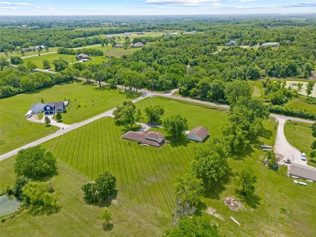 20408 S Cottonwood Dr, Belton, MO 64012 - photo 38