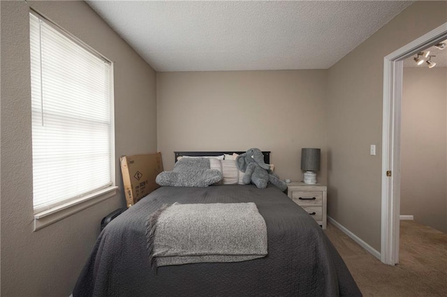 706 Cedar Dr Unit C, Warrensburg, MO 64093 - bedroom with carpet and a textured ceiling