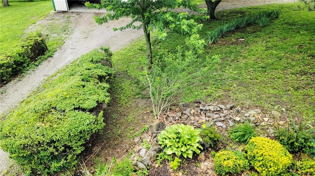 1045 Yale Rd, Mapleton, KS 66754 - view of local wilderness
