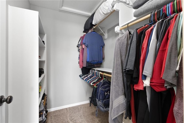 16910 Juniper Dr, Basehor, KS 66007 - walk in closet with attic access and carpet flooring