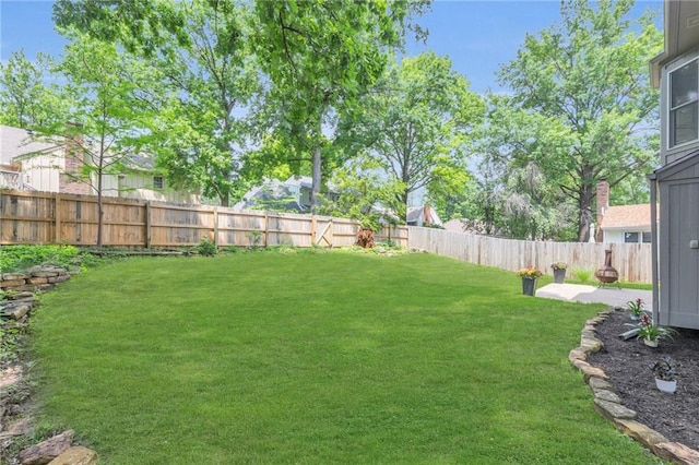 10124 Halsey St, Lenexa, KS 66215 - view of yard
