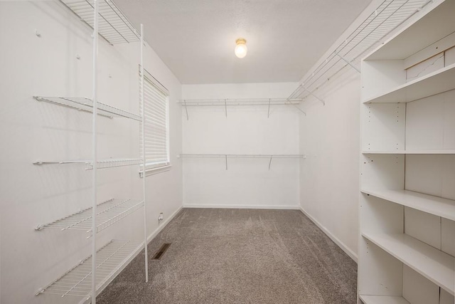 12655 S Clinton St, Olathe, KS 66061 - spacious closet with carpet flooring