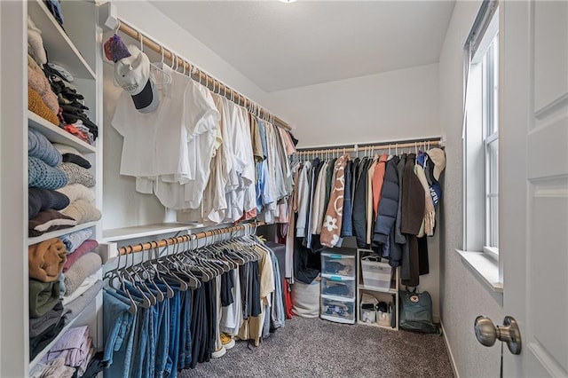 16059 Fontana St Unit 204, Overland Park, KS 66085 - walk in closet featuring carpet floors