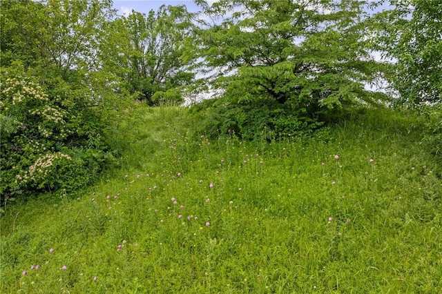 16059 Fontana St Unit 204, Overland Park, KS 66085 - view of local wilderness