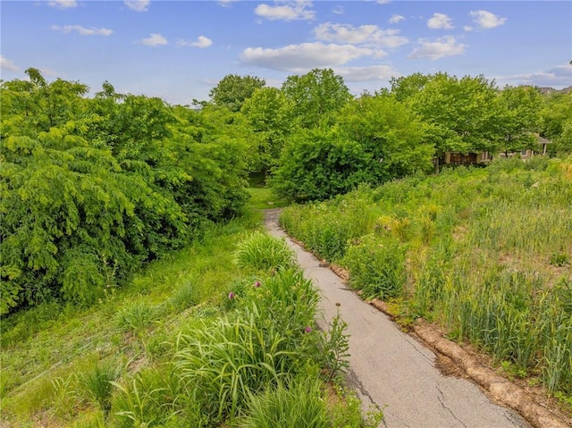 16059 Fontana St Unit 204, Overland Park, KS 66085 - view of property's community featuring a view of trees
