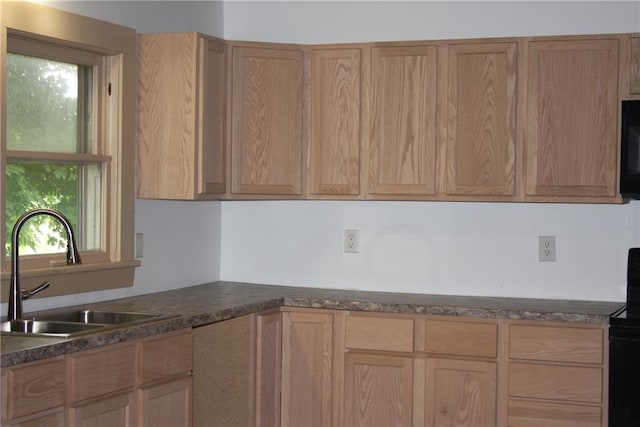 45 SW 675th Rd, Warrensburg, MO 64093 - kitchen with a sink, dark countertops, and black electric range oven