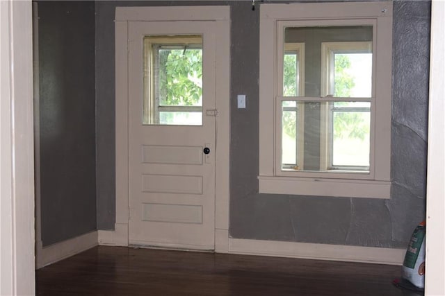 45 SW 675th Rd, Warrensburg, MO 64093 - foyer entrance featuring wood finished floors and baseboards