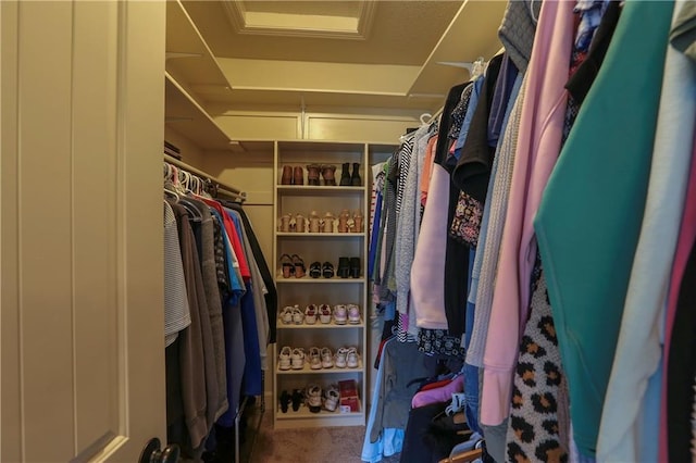 16488 S Summertree Ln, Olathe, KS 66062 - spacious closet with carpet flooring