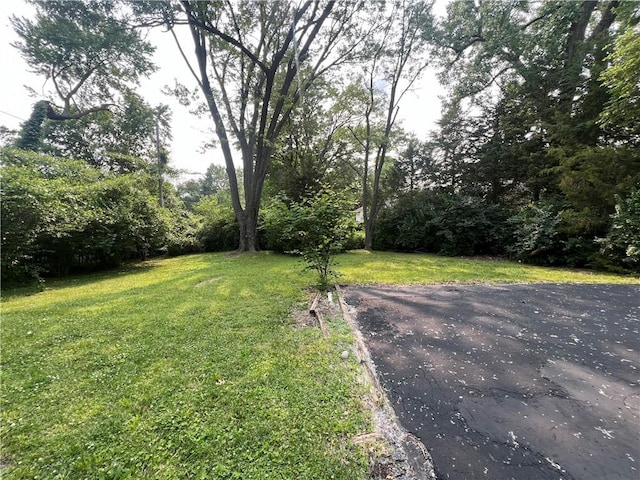 2816 N 58th St, Kansas City, KS 66104 - photo 20