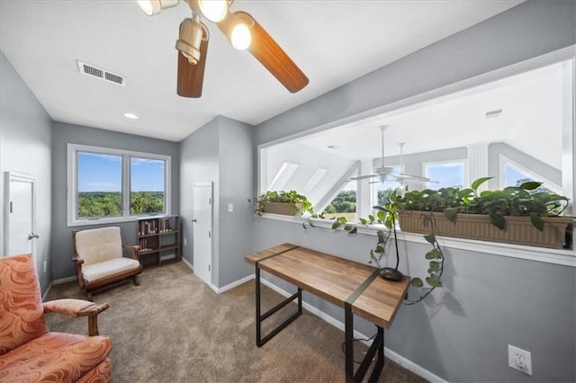 2640 Union Rd, Lawrence, KS 66044 - carpeted office space featuring ceiling fan and healthy amount of natural light