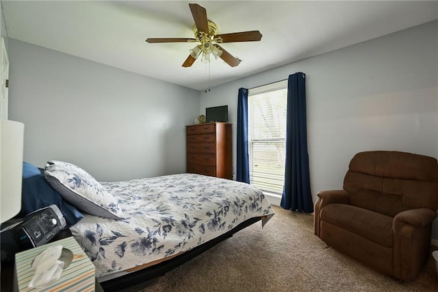 404 NE 96th Ter, Kansas City, MO 64155 - bedroom with carpet and ceiling fan
