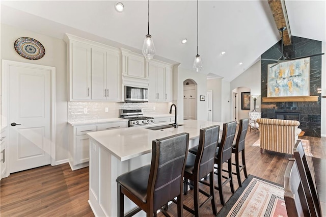 21115 W 186th Ter, Spring Hill, KS 66083 - kitchen with a sink, arched walkways, stainless steel appliances, dark wood-style flooring, and light countertops
