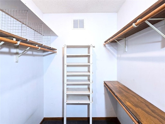 2101 Hillview Rd, Liberty, MO 64068 - view of spacious closet