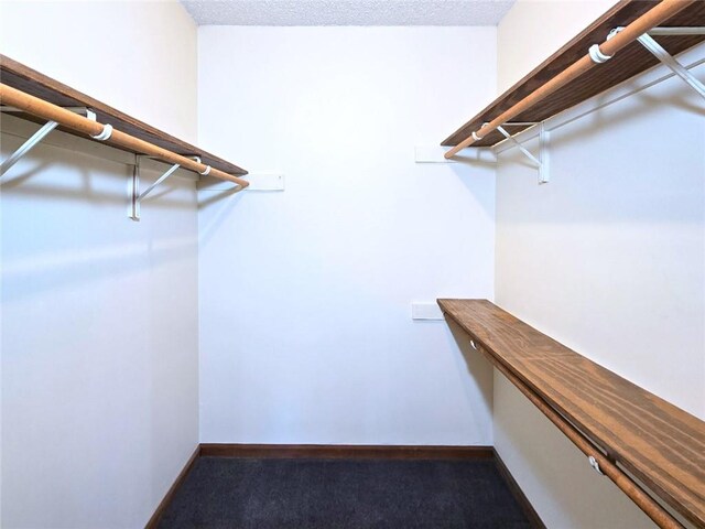 2101 Hillview Rd, Liberty, MO 64068 - walk in closet featuring carpet floors
