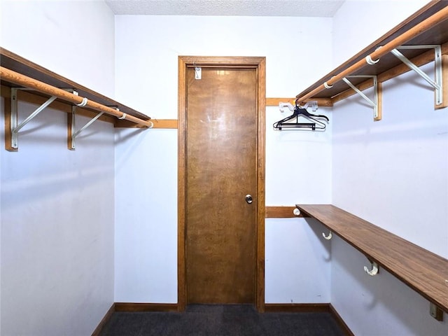 2101 Hillview Rd, Liberty, MO 64068 - spacious closet featuring dark colored carpet