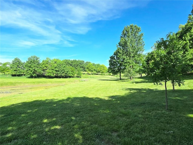 2101 Hillview Rd, Liberty, MO 64068 - view of grassy yard
