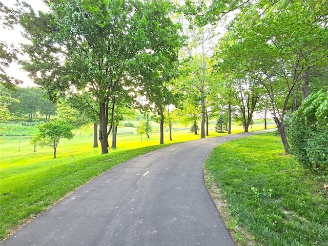 2101 Hillview Rd, Liberty, MO 64068 - view of property's community featuring a lawn and driveway