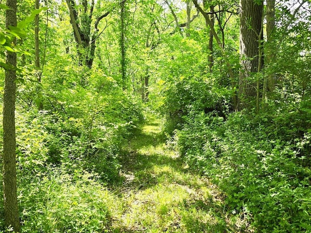 2101 Hillview Rd, Liberty, MO 64068 - view of tree filled area