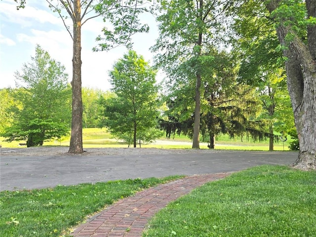 2101 Hillview Rd, Liberty, MO 64068 - view of community with a lawn