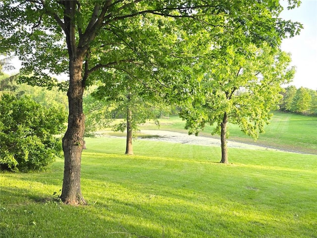 2101 Hillview Rd, Liberty, MO 64068 - view of community with a lawn
