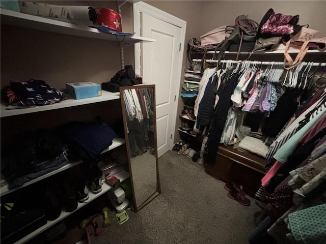 32592 SE 500th Rd, Kincaid, KS 66039 - spacious closet with carpet flooring