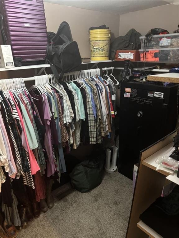 32592 SE 500th Rd, Kincaid, KS 66039 - walk in closet featuring carpet flooring