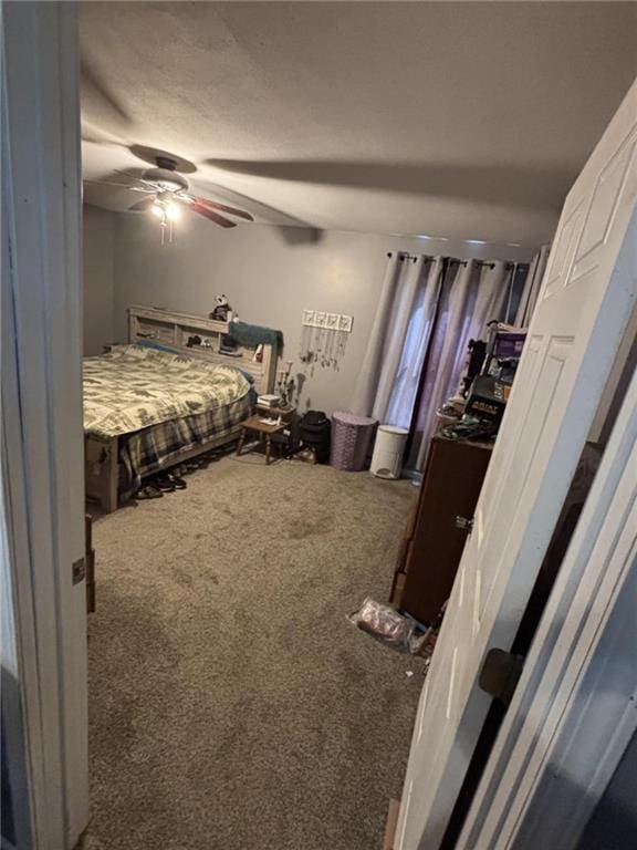 32592 SE 500th Rd, Kincaid, KS 66039 - bedroom with carpet floors and ceiling fan