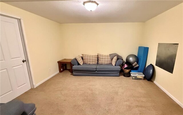 226 James Ave, Maryville, MO 64468 - sitting room featuring carpet and baseboards