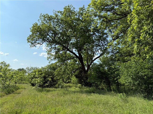 4004 Texaco Rd, Cushing, OK 74023 - view of tree filled area
