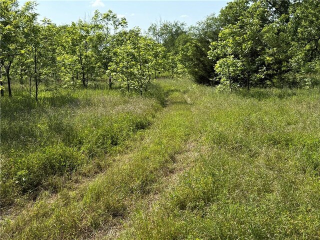 4004 Texaco Rd, Cushing, OK 74023 - view of woods