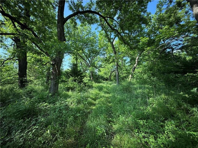 4004 Texaco Rd, Cushing, OK 74023 - view of wooded area