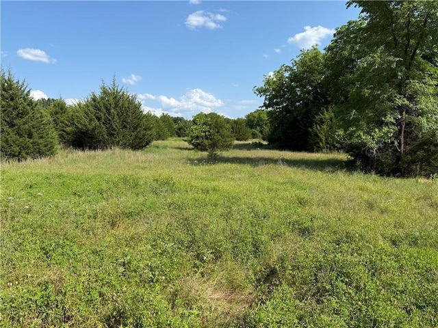 4004 Texaco Rd, Cushing, OK 74023 - view of woods