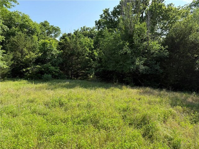 4004 Texaco Rd, Cushing, OK 74023 - view of tree filled area