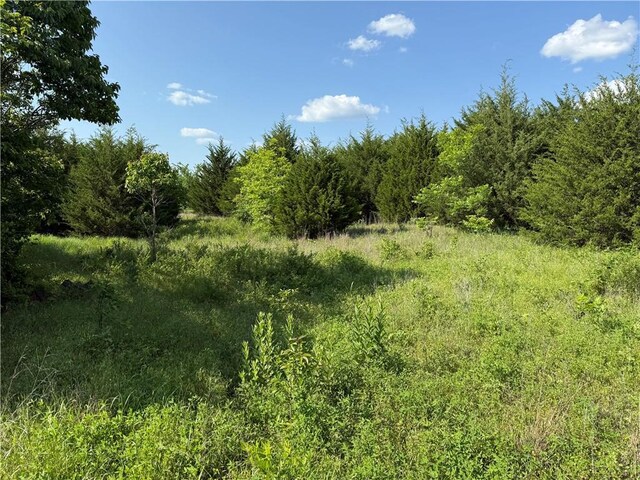 4004 Texaco Rd, Cushing, OK 74023 - view of woods