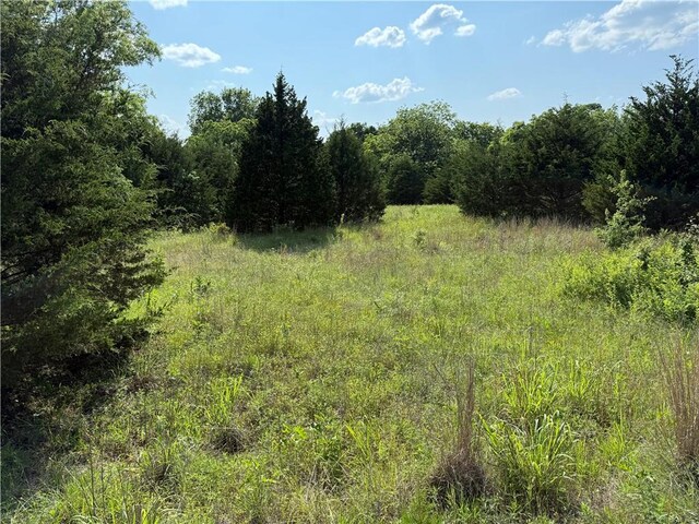 4004 Texaco Rd, Cushing, OK 74023 - view of woods