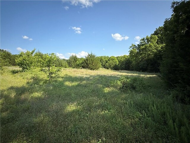 4004 Texaco Rd, Cushing, OK 74023 - view of woods