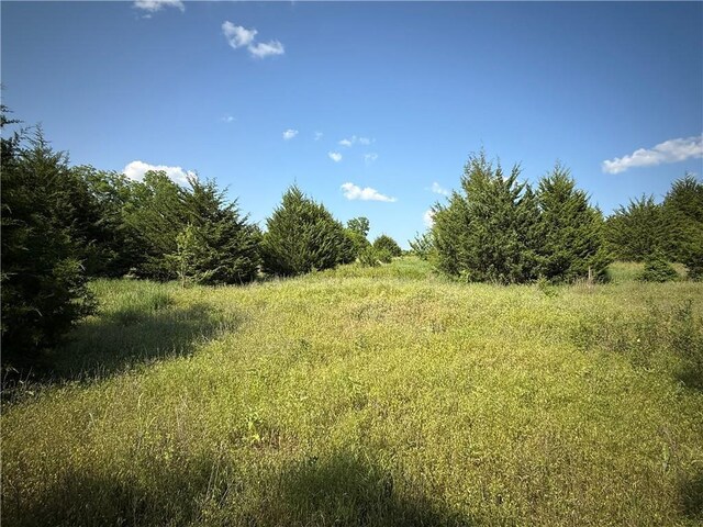4004 Texaco Rd, Cushing, OK 74023 - view of local wilderness