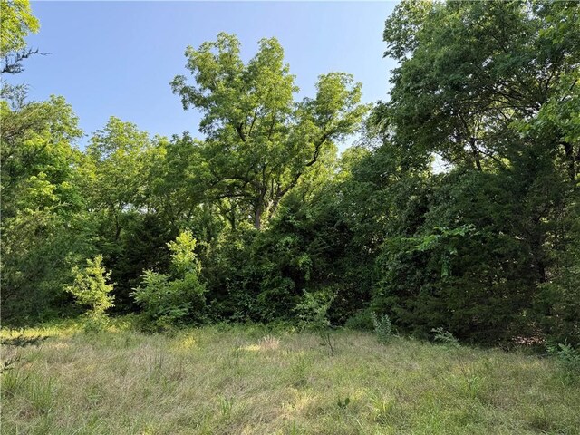 4004 Texaco Rd, Cushing, OK 74023 - view of woods