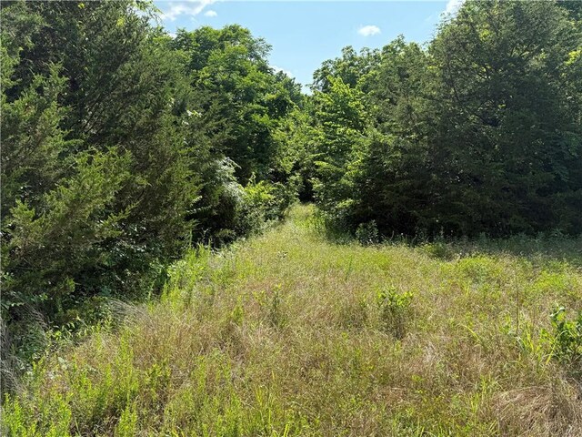 4004 Texaco Rd, Cushing, OK 74023 - view of wooded area