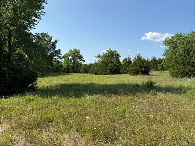 4004 Texaco Rd, Cushing, OK 74023 - view of woods