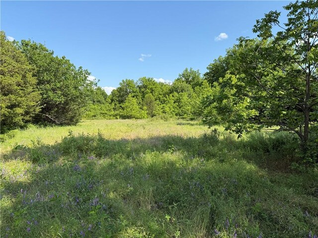 4004 Texaco Rd, Cushing, OK 74023 - view of woods