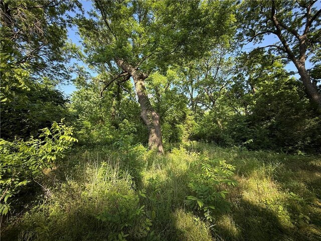 4004 Texaco Rd, Cushing, OK 74023 - view of wooded area