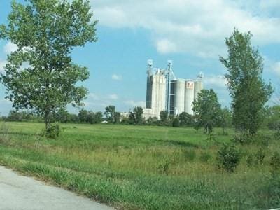 1610 Road Road S, Nevada, MO 64772 - photo 1
